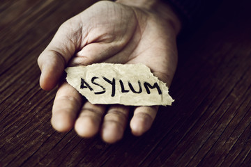 paper that says asylum
