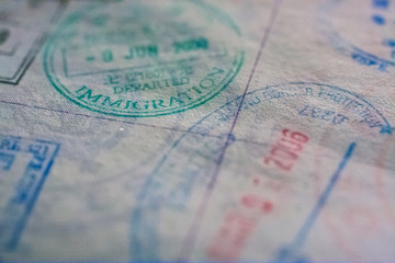 immigration paper