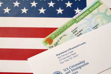 naturalization application and flag